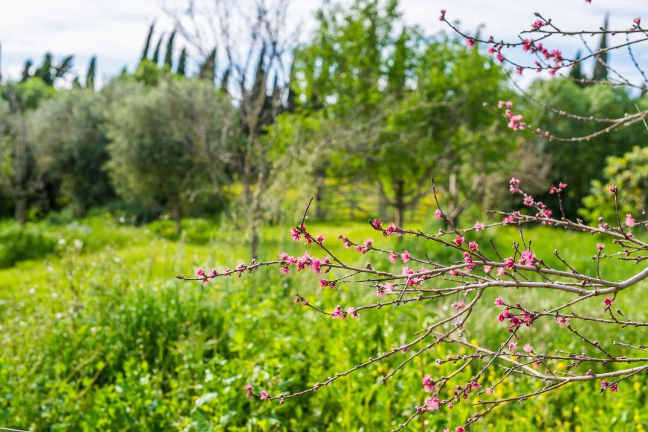 Traumhafte Finca Son Senyor - Mit Pferdekoppel Βίλα Sa Pobla Εξωτερικό φωτογραφία