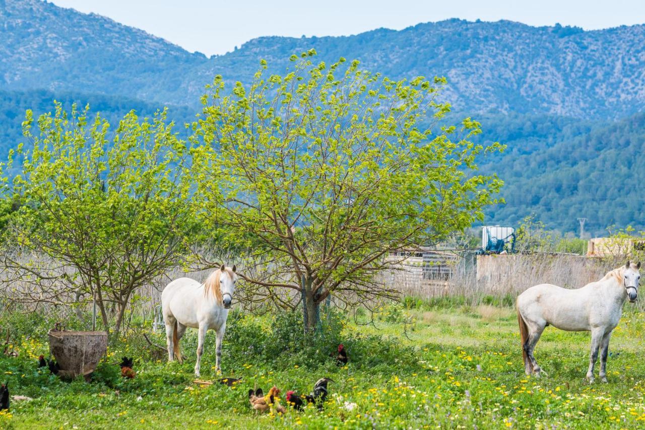 Traumhafte Finca Son Senyor - Mit Pferdekoppel Βίλα Sa Pobla Εξωτερικό φωτογραφία
